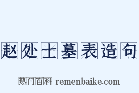 赵处士墓表造句是什么意思的图片